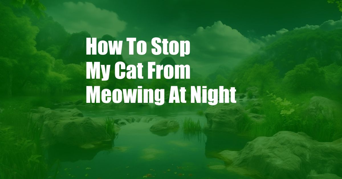 How To Stop My Cat From Meowing At Night