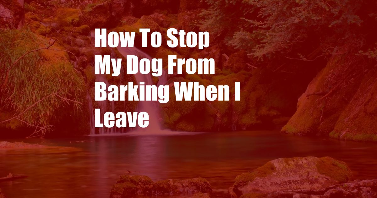 How To Stop My Dog From Barking When I Leave