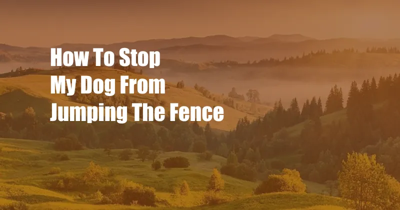 How To Stop My Dog From Jumping The Fence