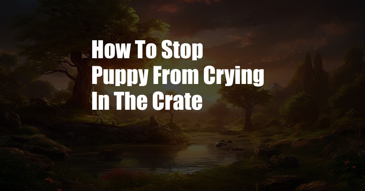 How To Stop Puppy From Crying In The Crate