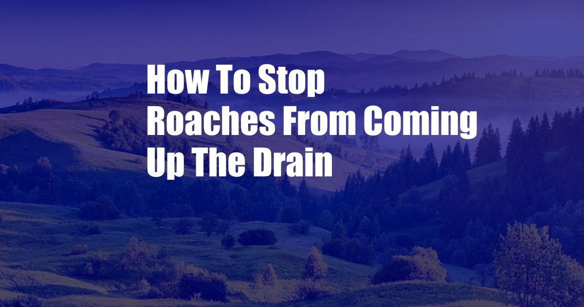 How To Stop Roaches From Coming Up The Drain
