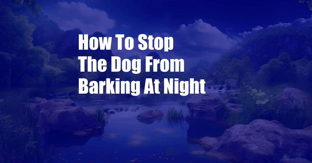 How To Stop The Dog From Barking At Night