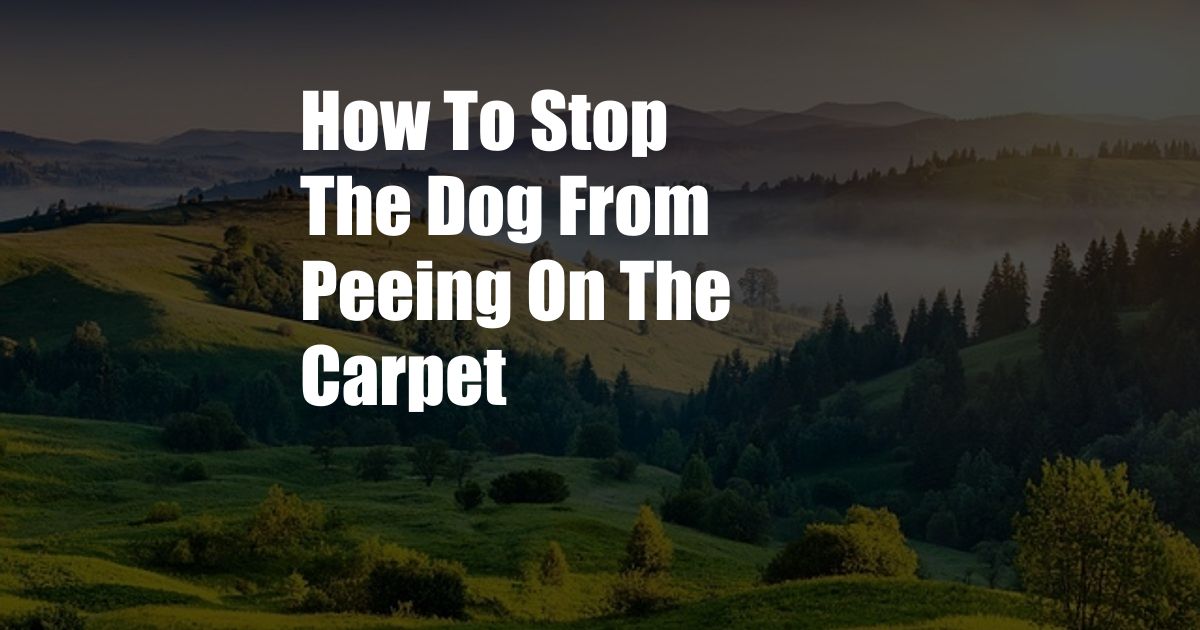 How To Stop The Dog From Peeing On The Carpet