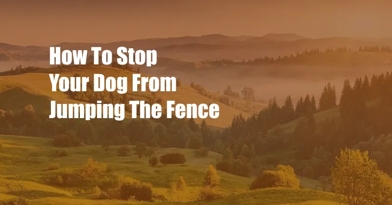 How To Stop Your Dog From Jumping The Fence