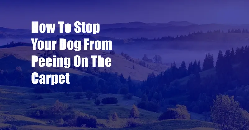 How To Stop Your Dog From Peeing On The Carpet