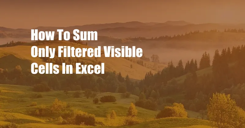 How To Sum Only Filtered Visible Cells In Excel