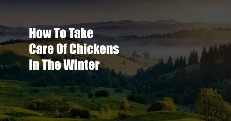 How To Take Care Of Chickens In The Winter