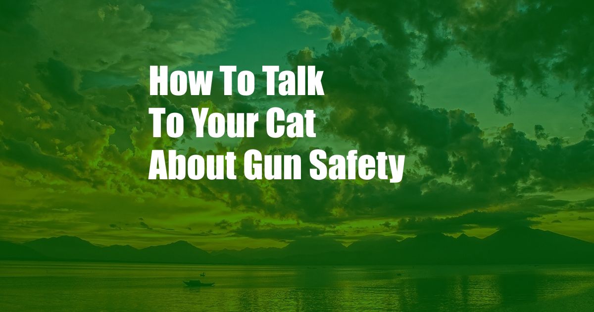 How To Talk To Your Cat About Gun Safety