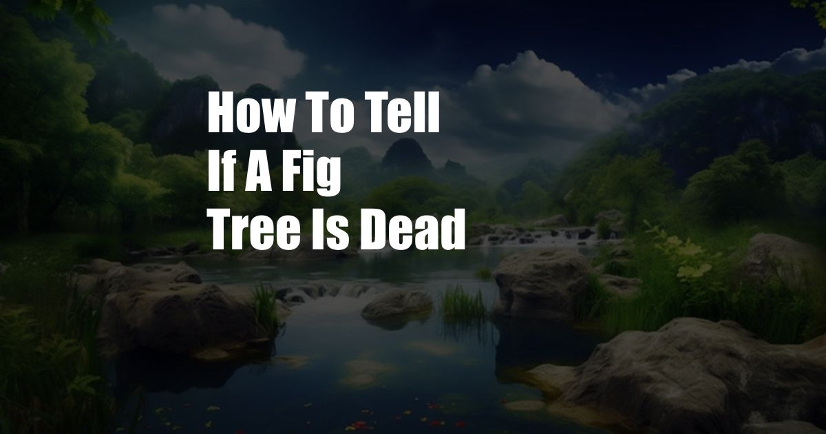 How To Tell If A Fig Tree Is Dead
