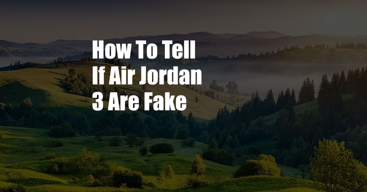 How To Tell If Air Jordan 3 Are Fake