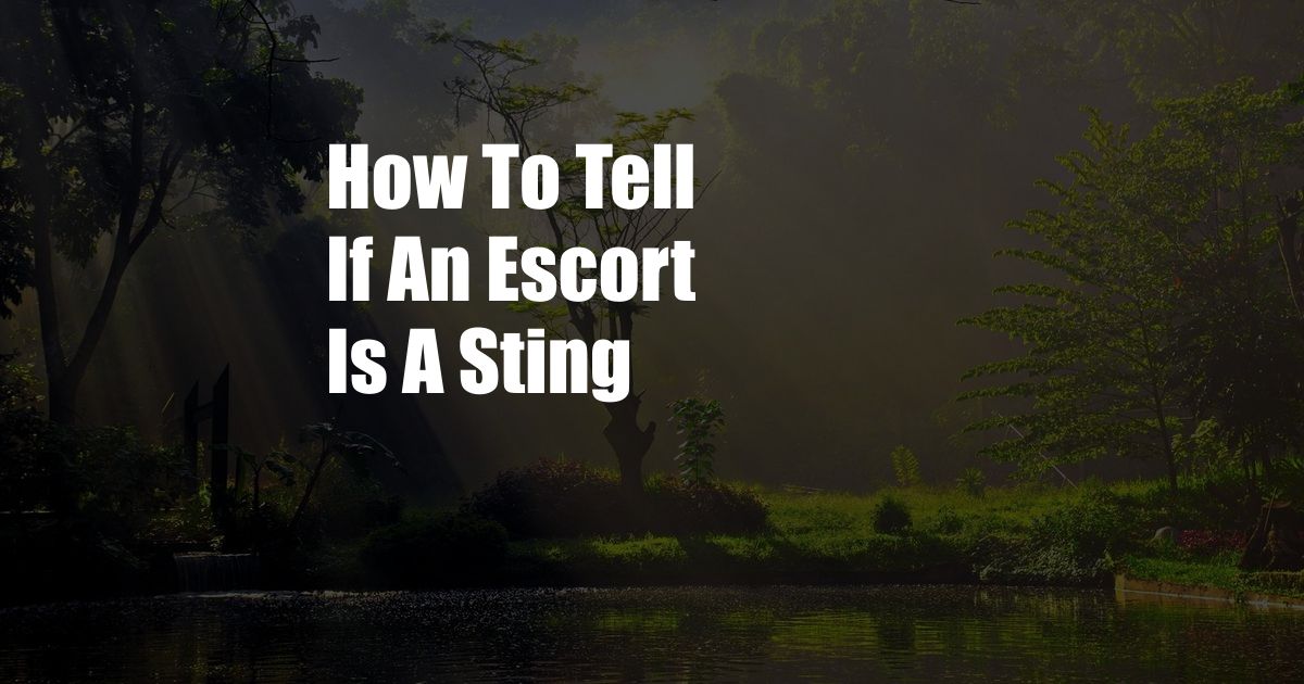 How To Tell If An Escort Is A Sting