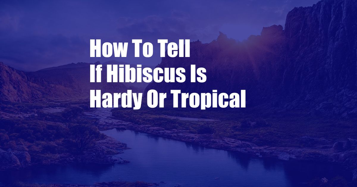 How To Tell If Hibiscus Is Hardy Or Tropical