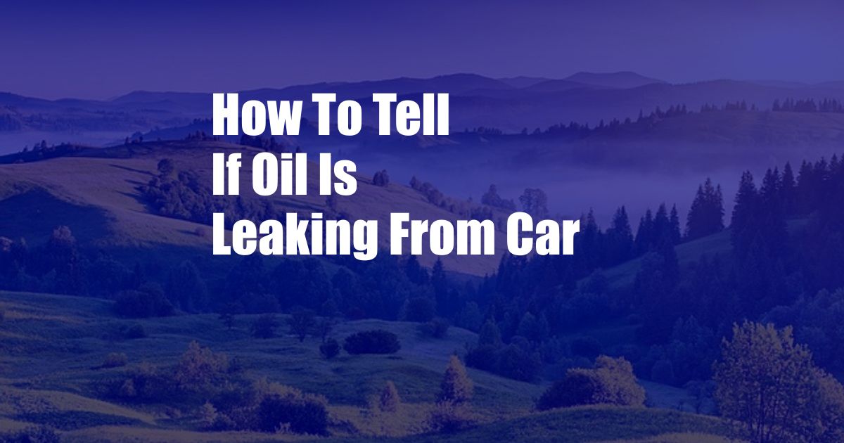 How To Tell If Oil Is Leaking From Car