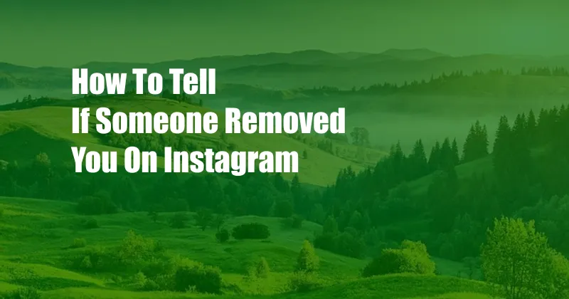 How To Tell If Someone Removed You On Instagram