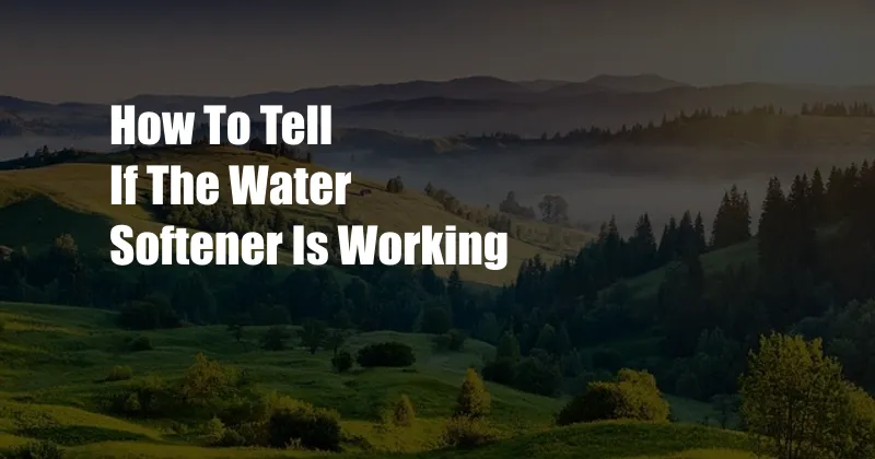 How To Tell If The Water Softener Is Working