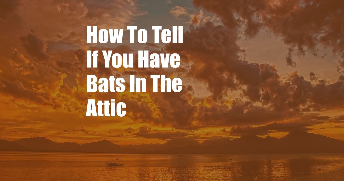 How To Tell If You Have Bats In The Attic