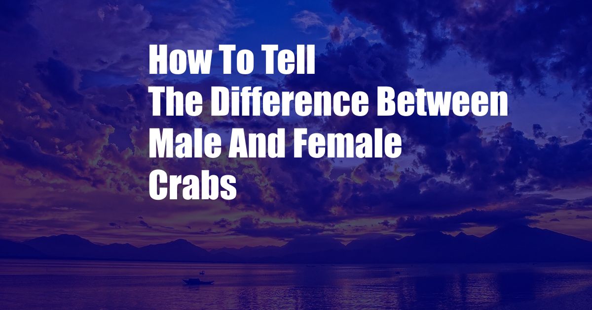 How To Tell The Difference Between Male And Female Crabs