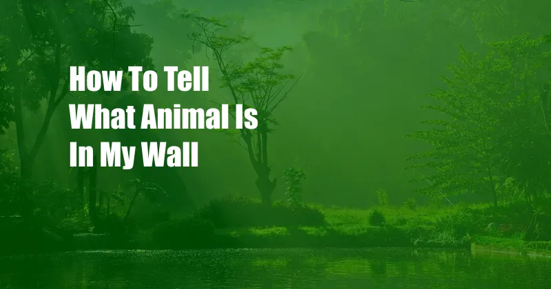 How To Tell What Animal Is In My Wall