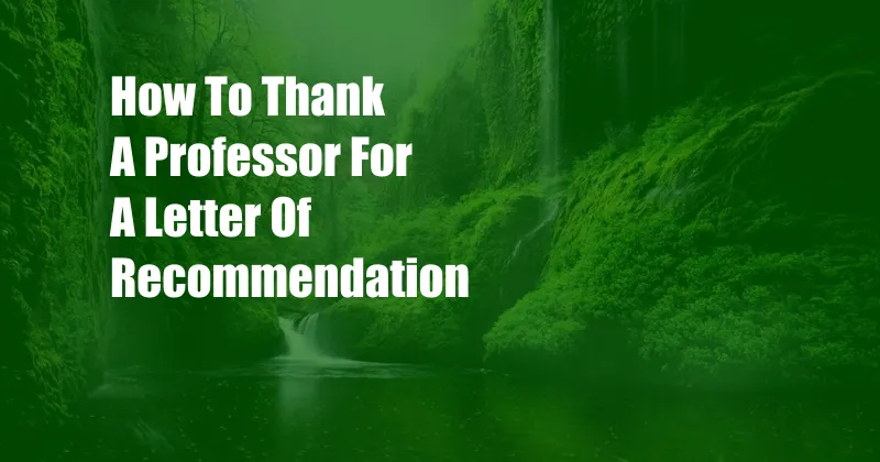 How To Thank A Professor For A Letter Of Recommendation