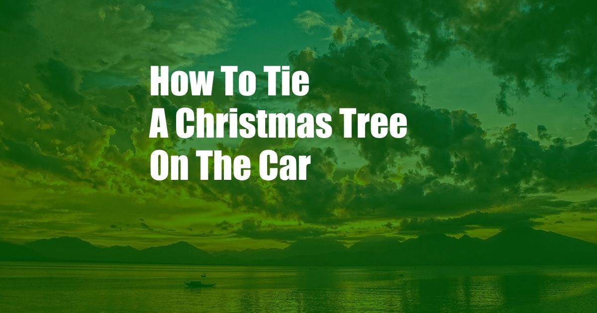 How To Tie A Christmas Tree On The Car