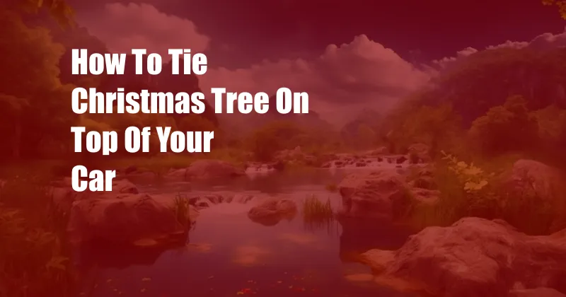 How To Tie Christmas Tree On Top Of Your Car