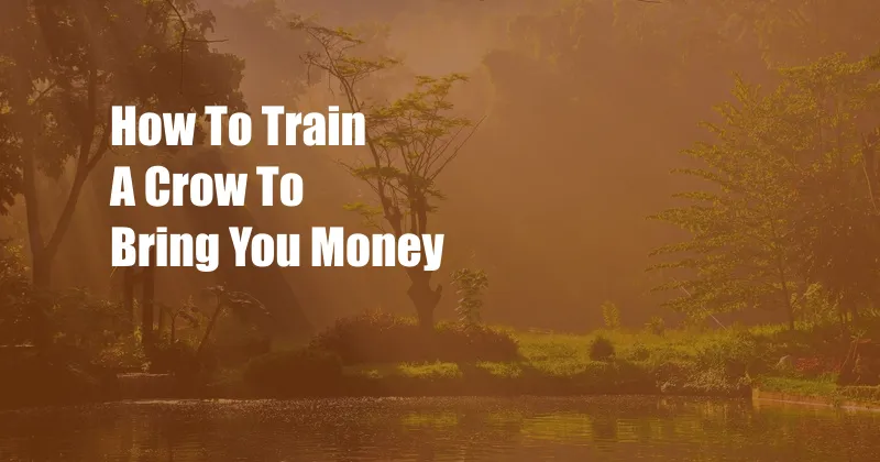 How To Train A Crow To Bring You Money