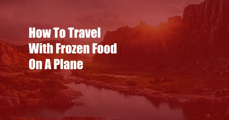 How To Travel With Frozen Food On A Plane