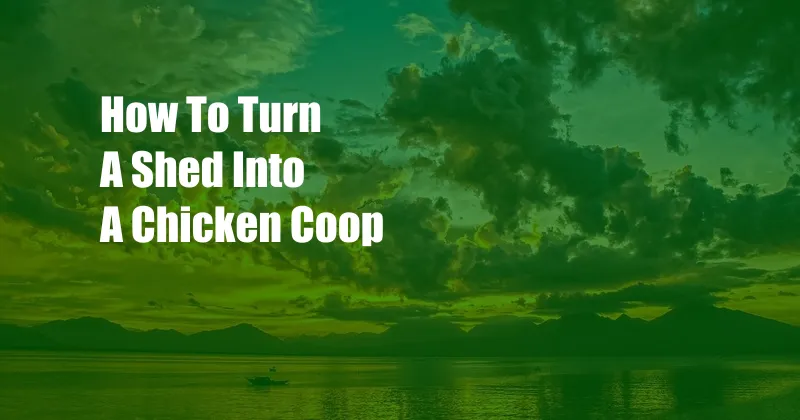 How To Turn A Shed Into A Chicken Coop