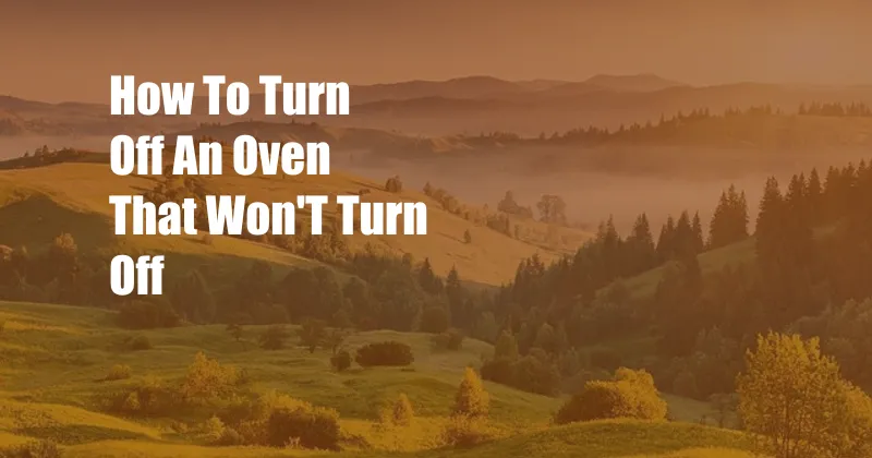 How To Turn Off An Oven That Won'T Turn Off