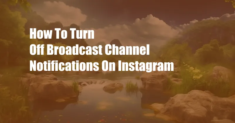 How To Turn Off Broadcast Channel Notifications On Instagram