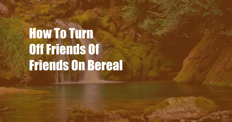 How To Turn Off Friends Of Friends On Bereal