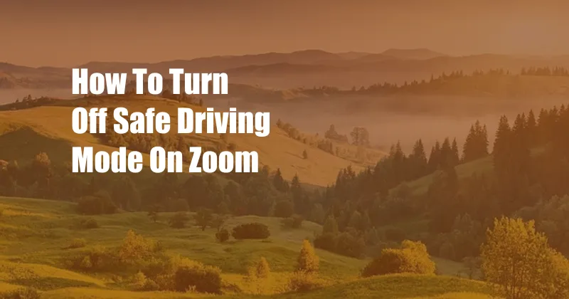 How To Turn Off Safe Driving Mode On Zoom