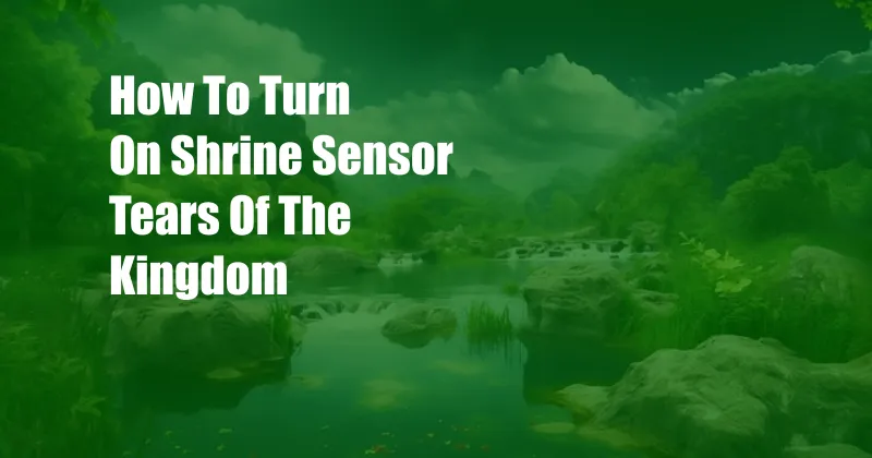 How To Turn On Shrine Sensor Tears Of The Kingdom