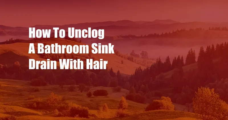 How To Unclog A Bathroom Sink Drain With Hair