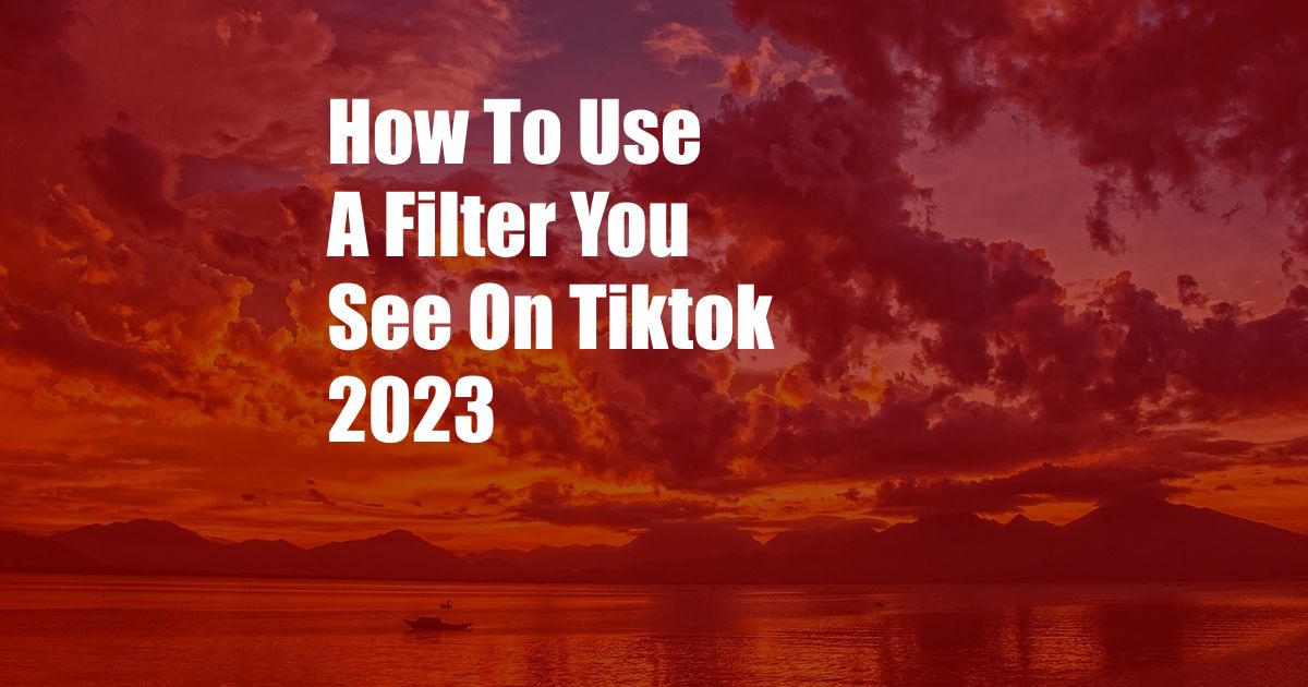 How To Use A Filter You See On Tiktok 2023