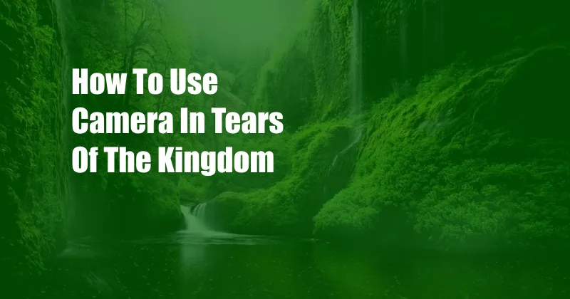 How To Use Camera In Tears Of The Kingdom