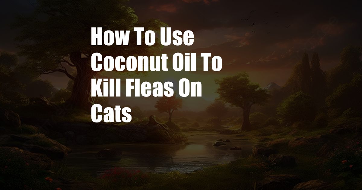 How To Use Coconut Oil To Kill Fleas On Cats