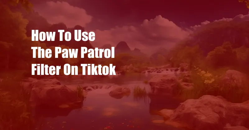 How To Use The Paw Patrol Filter On Tiktok