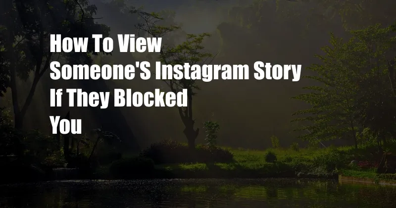 How To View Someone'S Instagram Story If They Blocked You