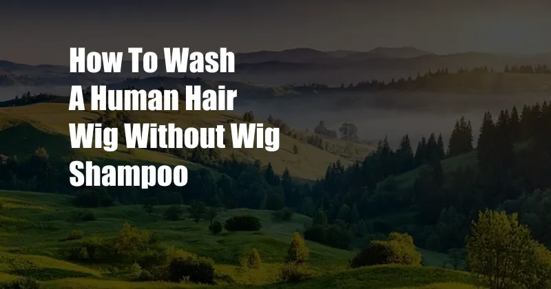 How To Wash A Human Hair Wig Without Wig Shampoo