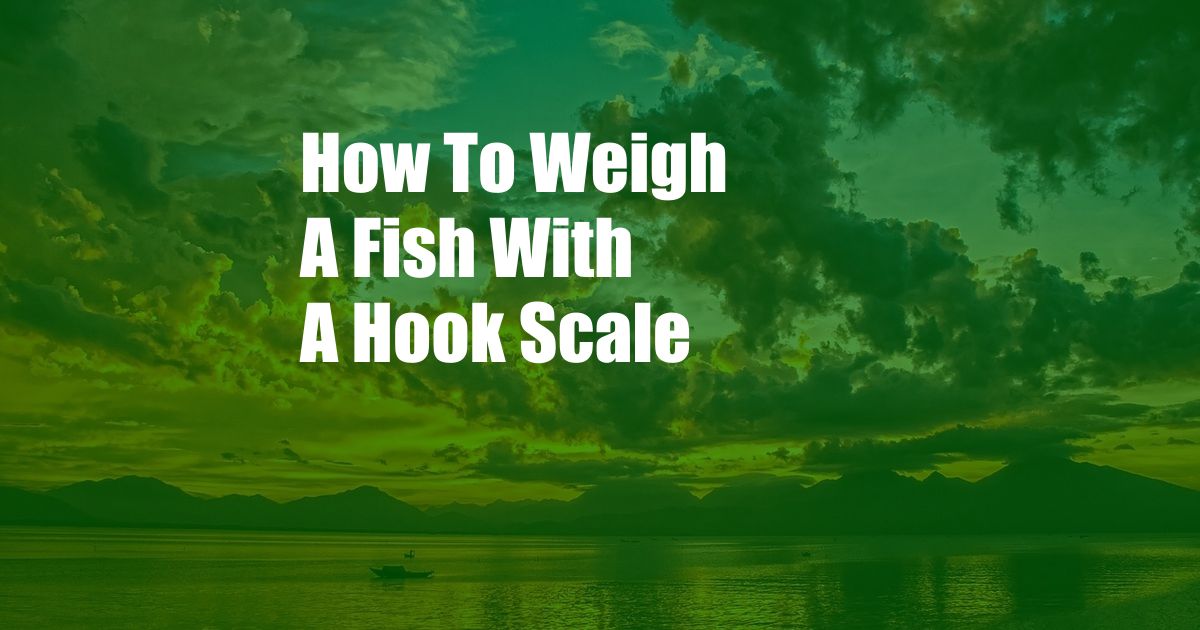 How To Weigh A Fish With A Hook Scale