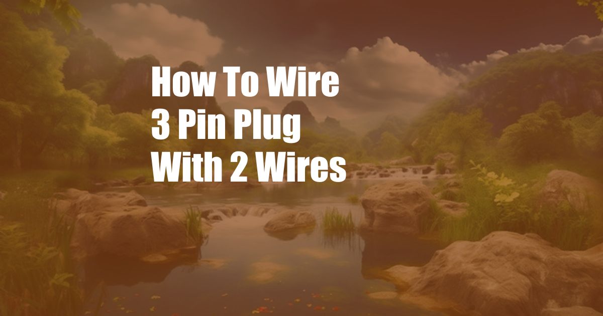 How To Wire 3 Pin Plug With 2 Wires