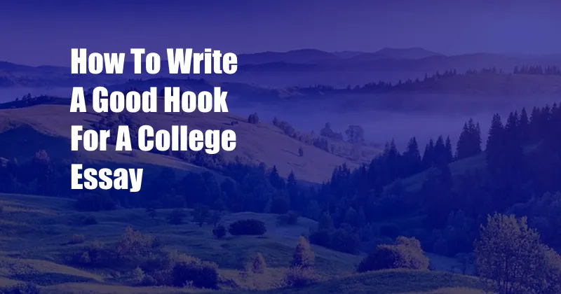 How To Write A Good Hook For A College Essay