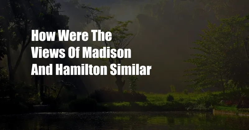 How Were The Views Of Madison And Hamilton Similar