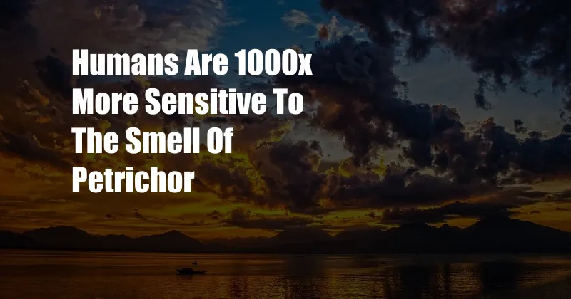 Humans Are 1000x More Sensitive To The Smell Of Petrichor