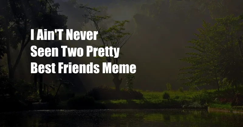 I Ain'T Never Seen Two Pretty Best Friends Meme