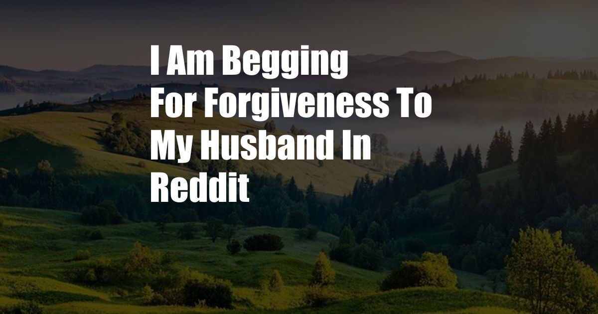 I Am Begging For Forgiveness To My Husband In Reddit