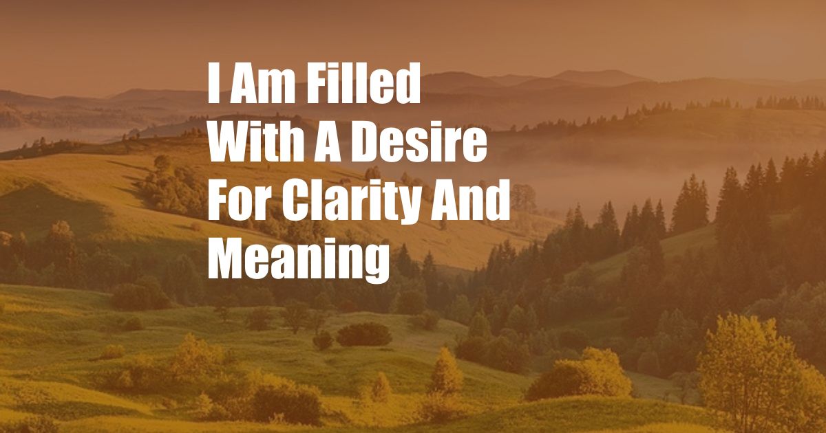 I Am Filled With A Desire For Clarity And Meaning