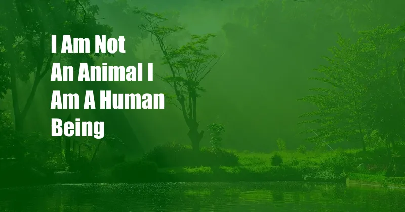 I Am Not An Animal I Am A Human Being