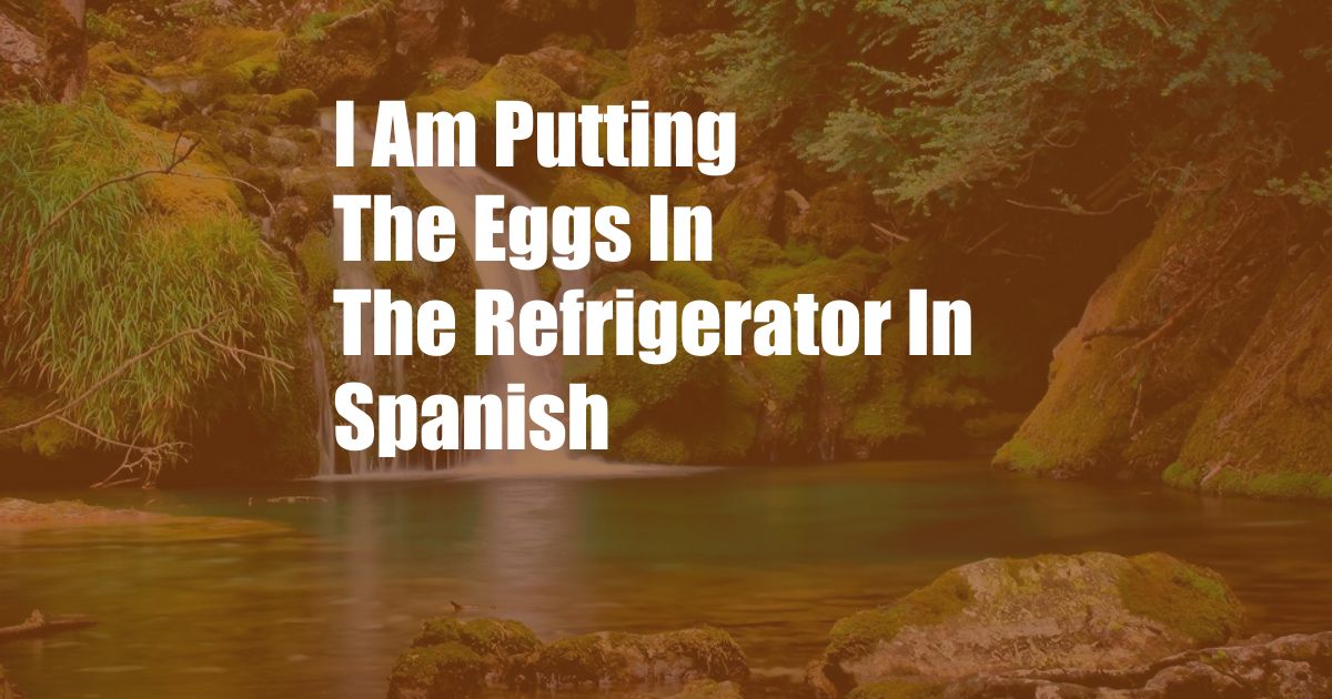 I Am Putting The Eggs In The Refrigerator In Spanish